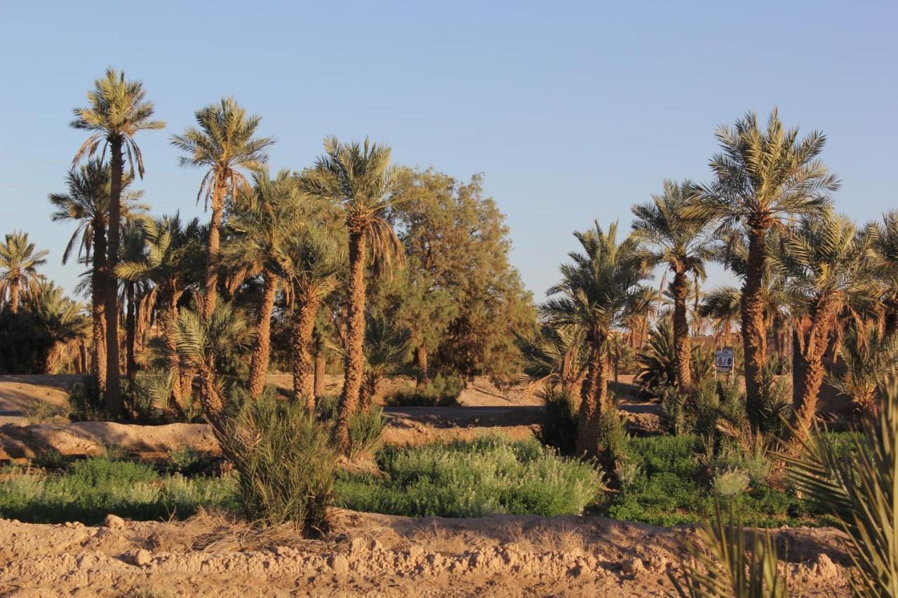 Palais Du Desert Hotel&Spa Erfoud Bagian luar foto